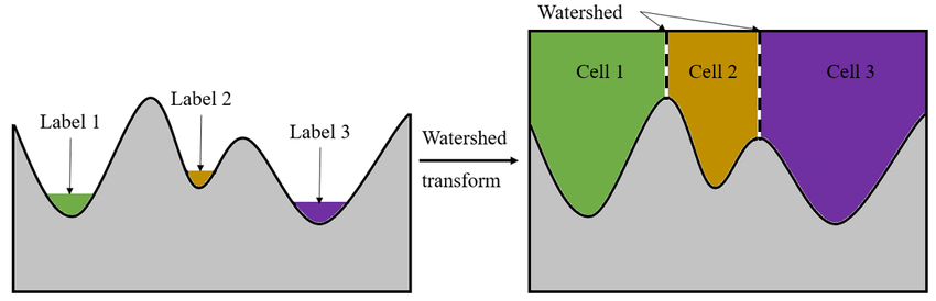 Watershed Segmentation